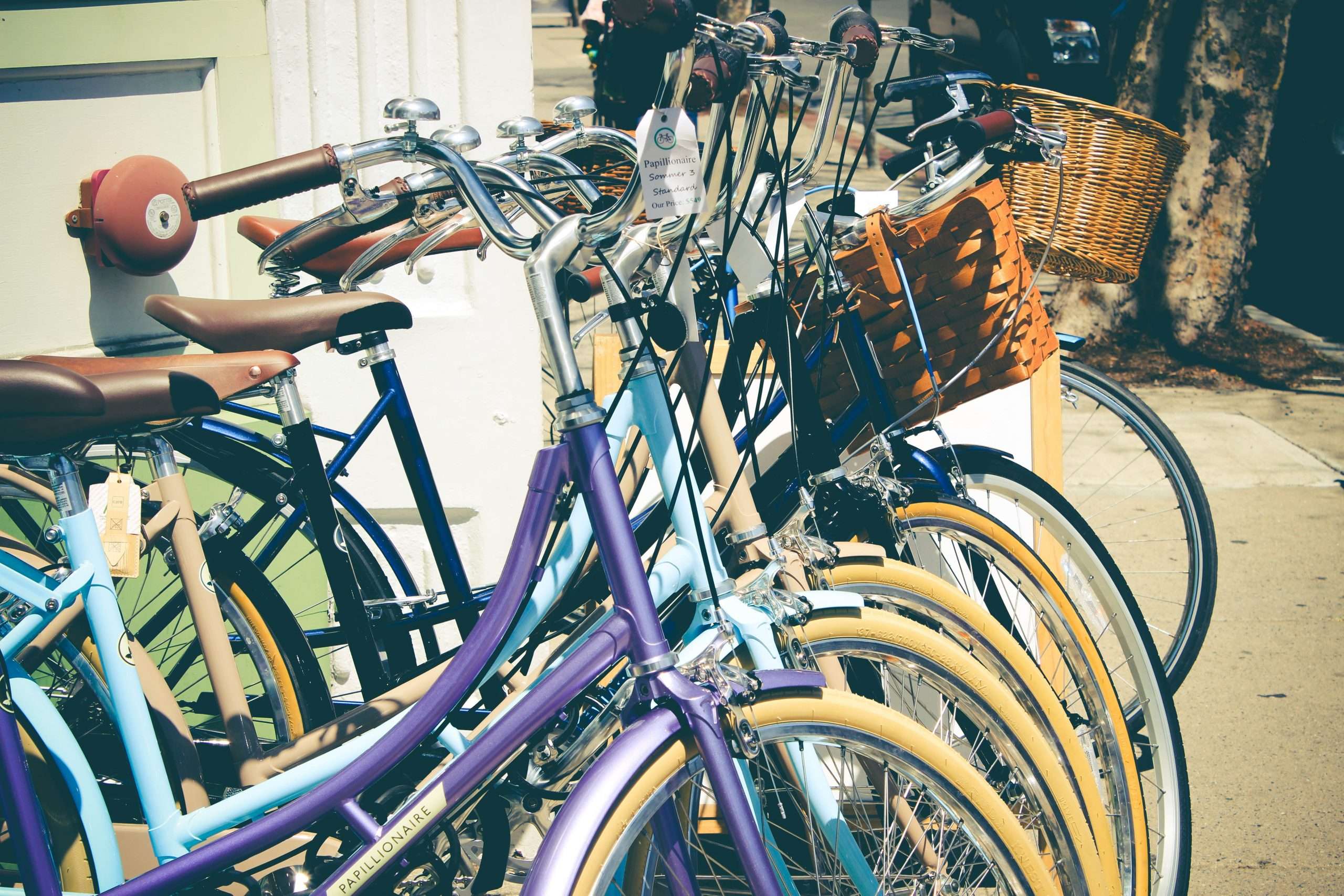 Mehr über den Artikel erfahren Die Fischländer Biketage 2023