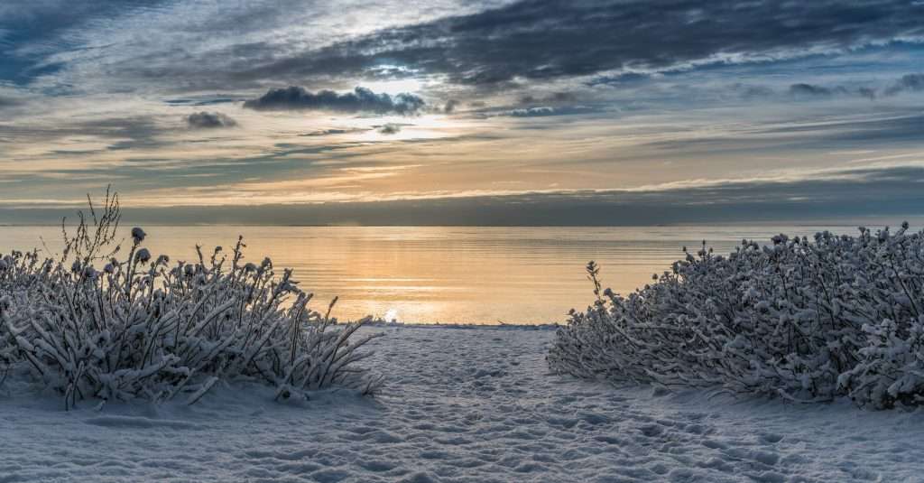 Winter