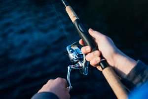 Mehr über den Artikel erfahren Angeln - Frischen Fisch auf den Tisch